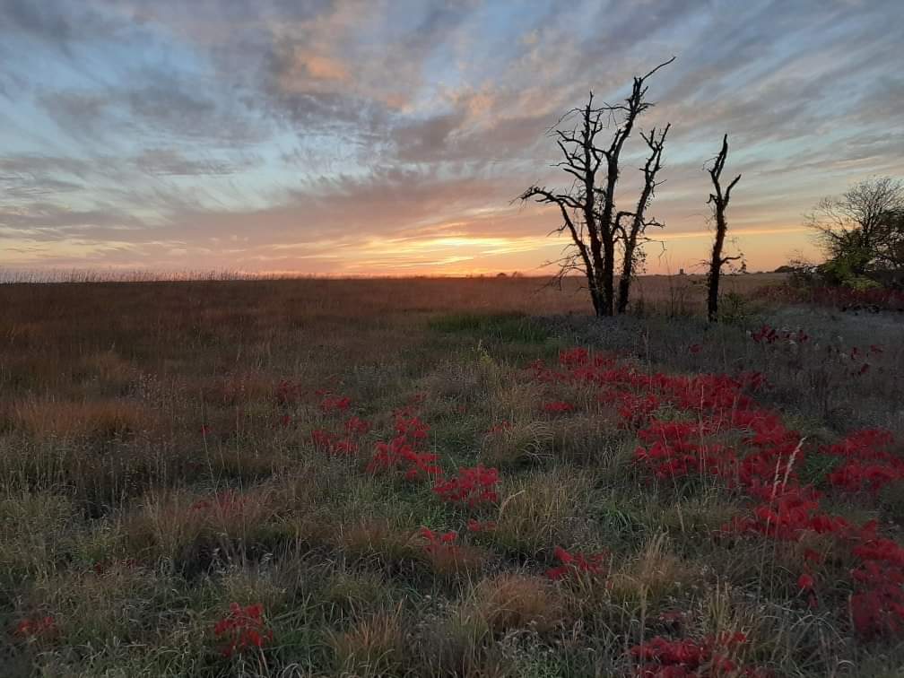 Southern Douglas County Prairie Sunset