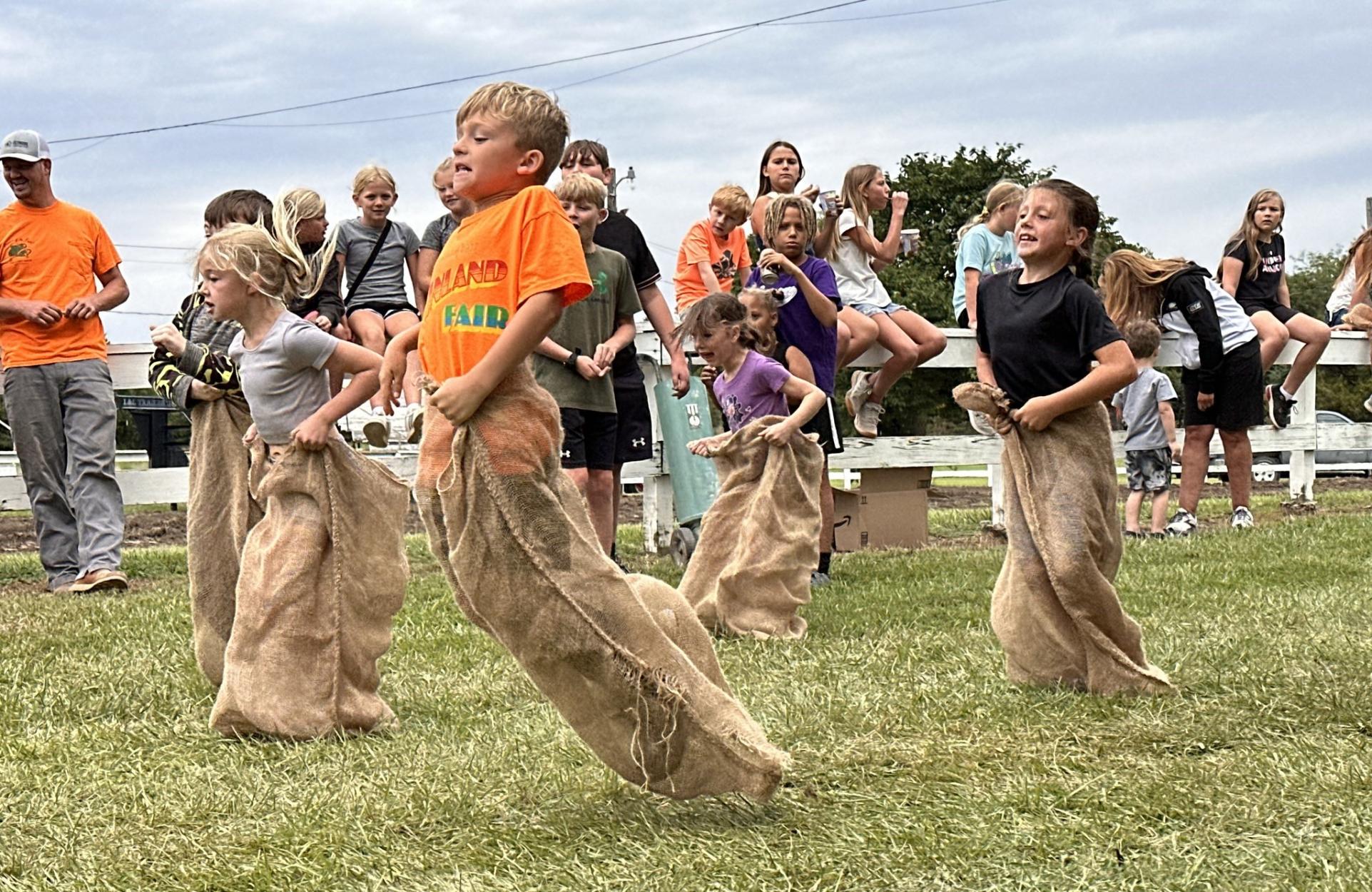Vinland Fair