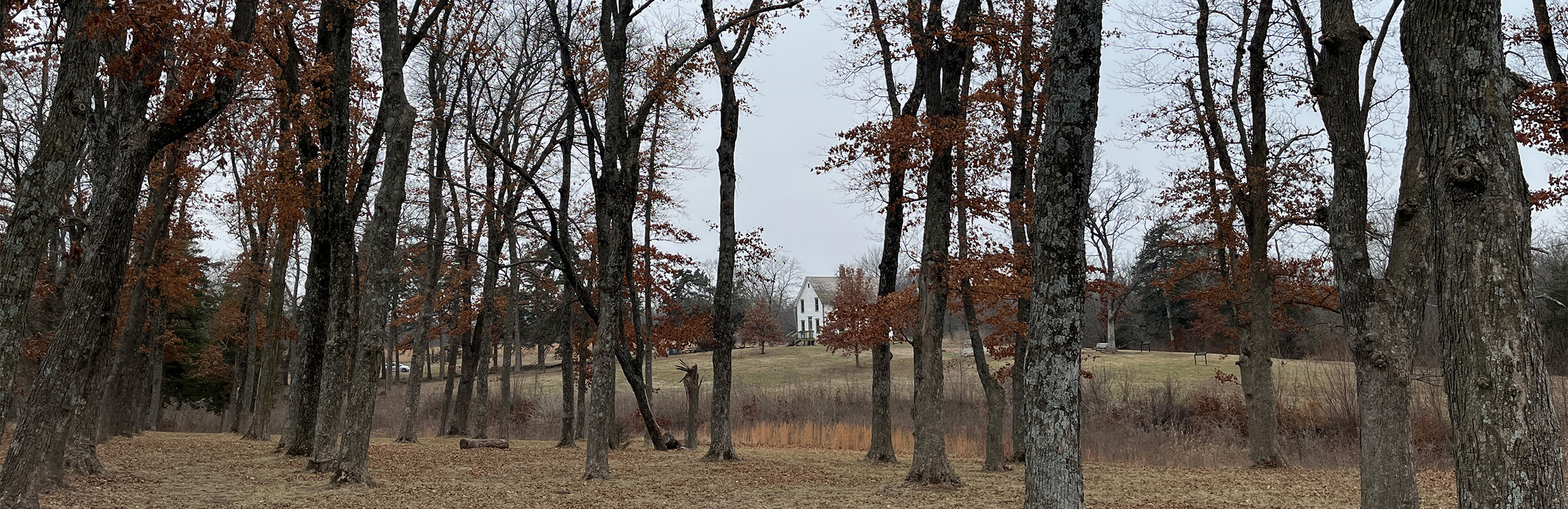 Black Jack Battlefield and Nature Park