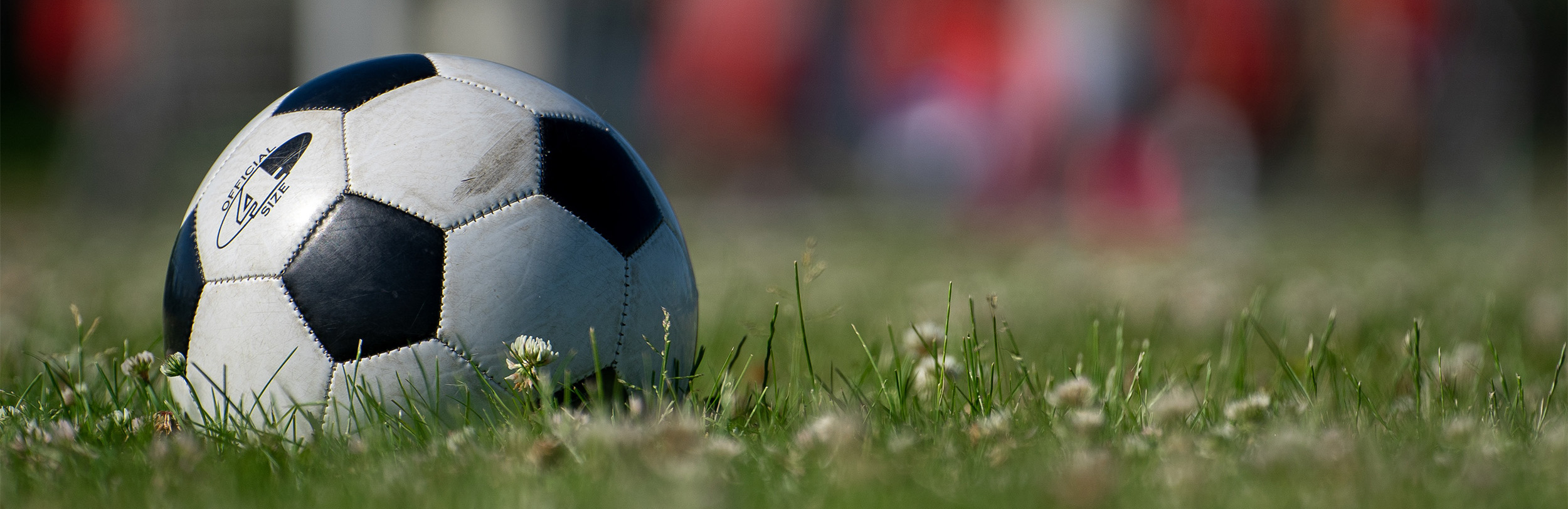 World Cup soccer