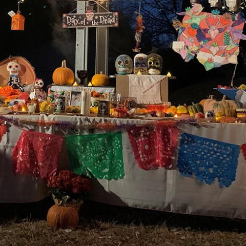 Day of the Dead Display