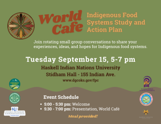 Event Flyer HINU World Cafe DCFPC