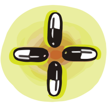 Pills Graphic