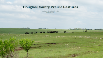 Prairie Pastures