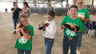 Douglas County Fair