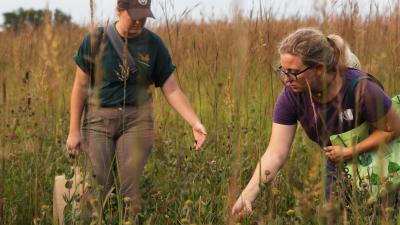 Seed collection at Black Jack Battlefield and Nature Park