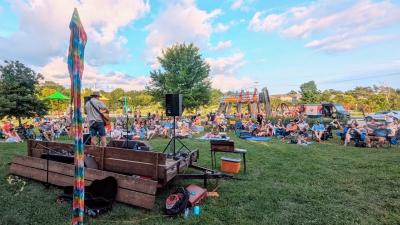 Musicians perform on the lawn in a park to a crowd sitting down